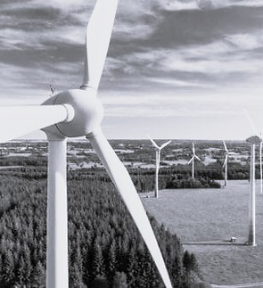 Sustainability - bw.jpeg