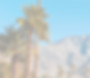 4_edited.jpg