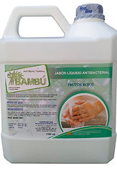 foto jabòn gl.jpg