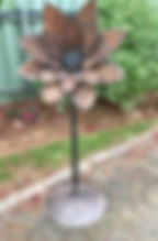 IMG_2047.jpeg