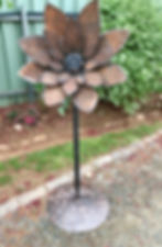 IMG_2047.jpeg