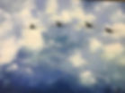 IMG_1827.jpeg