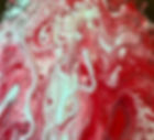 IMG_2097.jpeg
