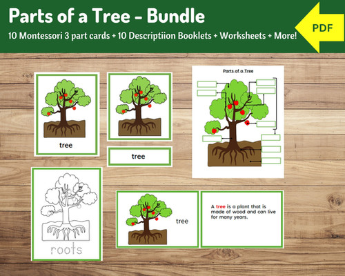 Parts of a Tree Bundle | Description Cards, Nomenclature Cards ...