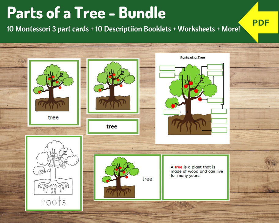 Parts of a Tree Bundle | Description Cards, Nomenclature Cards, Worksheets