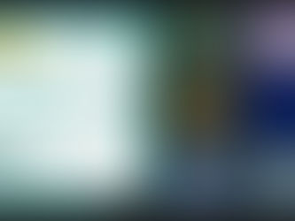 Освітній Онлайн Хаб. Заняття «Дихальна система людини» в локації «Онлайн-школа «Підготовка до НМТ (ЗНО) з біології»