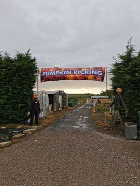 entrance to the pumpkin patch