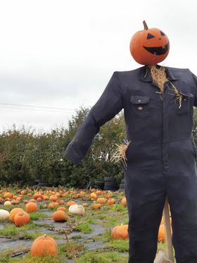 Pumpkin scarecrow