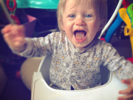 High Chair Will Travel