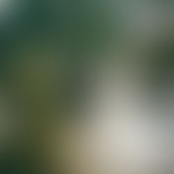 The Branch Museum Wedding, Richmond, Virginia | RVA Film Photographer