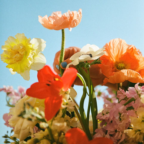 Highlighting RVA Wedding Florists, My Favorite Flower Stories of 2024 