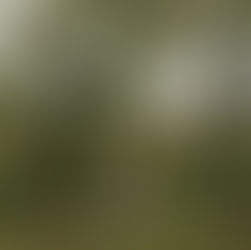 Camp Friendship Wedding | Summer Camp Palmyra, Virginia