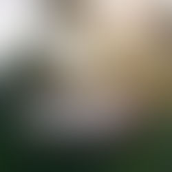 Backyard Wedding in Waterford Virginia | RVA Film Wedding Photographer