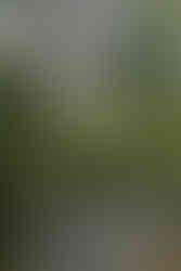 Best Wedding Venues in Virginia