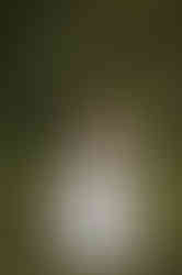 september wedding virginia