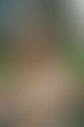 Bride in vintage Gunne Sax dress at Forsyth Park fountain, film photography