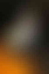 Wedding at The Little Daisy Arizona