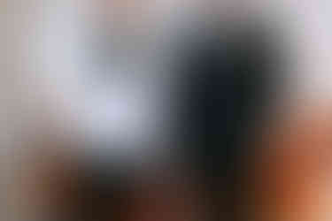 The Little Daisy Wedding