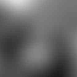 Best film wedding photographers Virginia