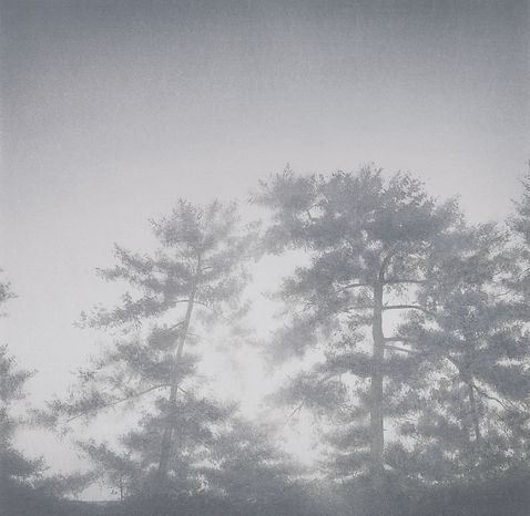 Ombres#3(12S)-2.jpg