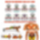 Thumbnail: 28 in 1 Push Up Rack Board System Fitness Workout Train Home Gym Exercise Stands
