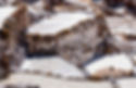 Maras-14.jpg