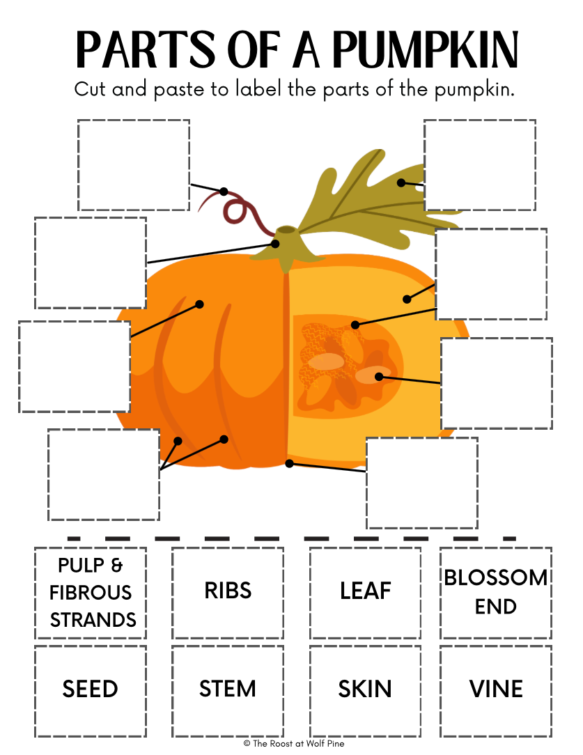 Thumbnail: Early Learner Halloween Workbook (Preschool)