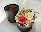 photo1635346826 (1)_edited.jpg