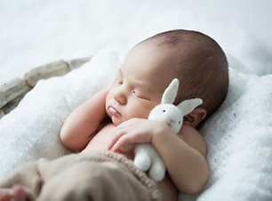 sweet newborn baby sleeps with a toy hare on a white background.jpg