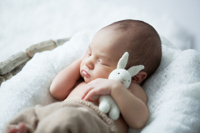 sweet newborn baby sleeps with a toy hare on a white background.jpg