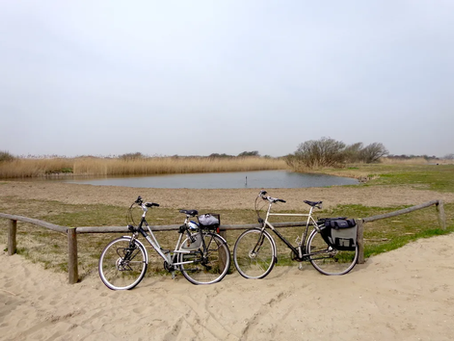 Dünenwasser-Radweg – Radfahren durch Dünen und Polder