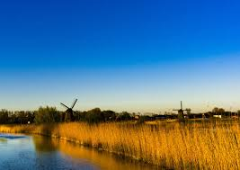 Tour um das Alkmaardermeer – Radfahren entlang von Wasser, Wiesen und Mühlen