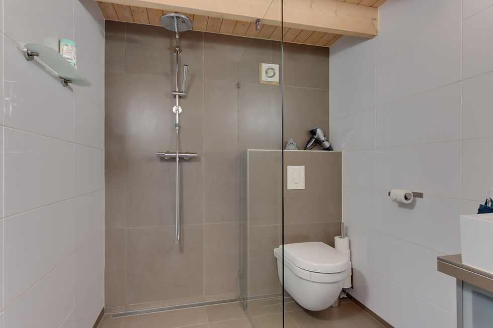 Miniaturbild: 't Hutje - Charmantes Boutique-Ferienhaus in Uitgeest