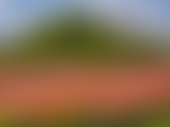 Hortus Bulborum Limmen | dagelijks 14:00 (21 maart t/m 10 mei 2026)