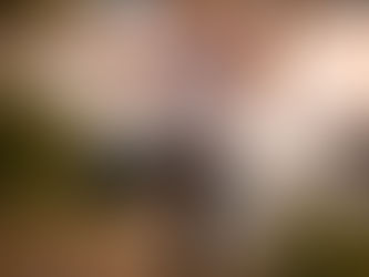 Flow – Form – Food | zondag 28 juni 2026