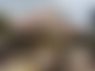 Even lekker Hollands: een gezellige avond bij Havenrijk – vrijdag 6 februari 2026