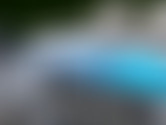 Building a Pool in Central Florida- Things You Need To Know: Survival Guide