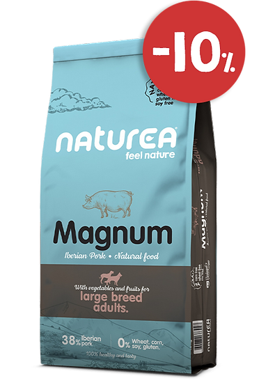 Magnum-Large-12kg.png