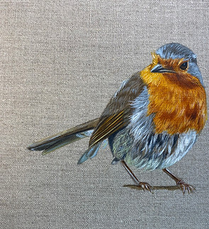 Painting of a robin in Andrea Meakin art class on how to paint a robin