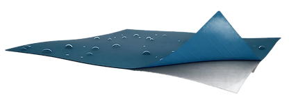 Shield-min(1).png