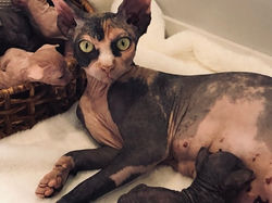 314444518_810929626802286_5160247385523646307_n