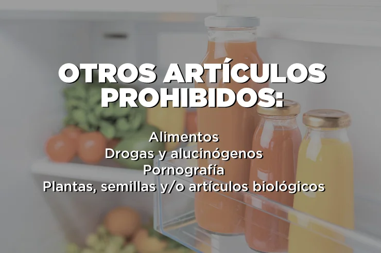 Cómo seleccionar lo que llevarás en tu mudanza internacional