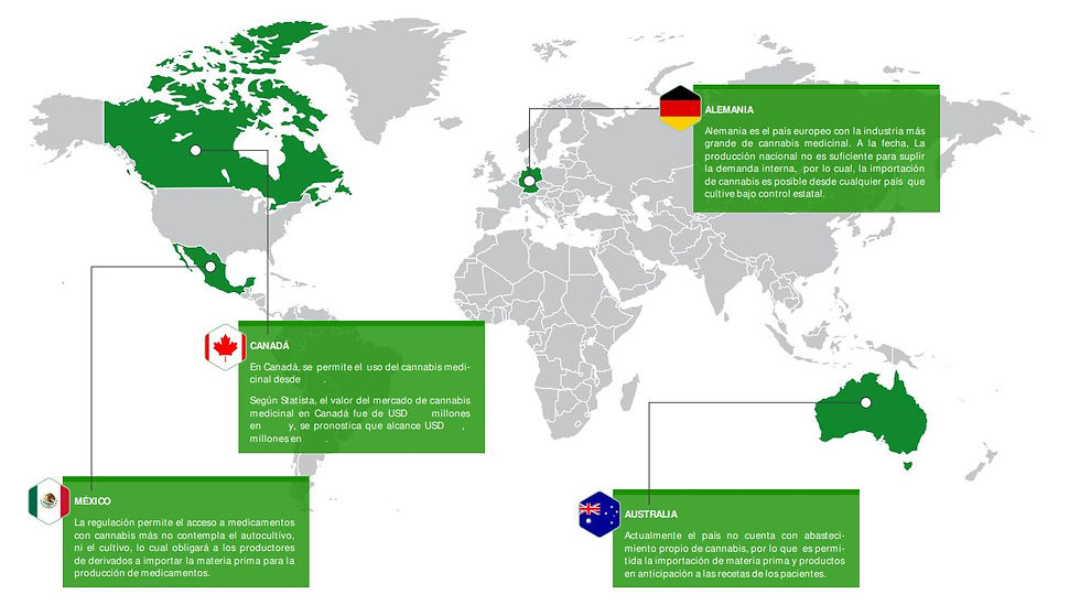 Países que avalan el uso del cannabis medicinal