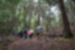 Pete Johnson leads a tour through his Tree Farm.