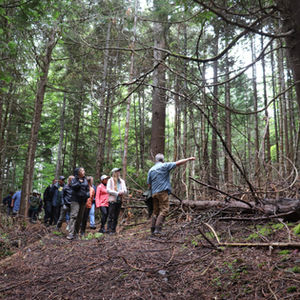 Teacher Tour participants take a tour of a Tree Farm