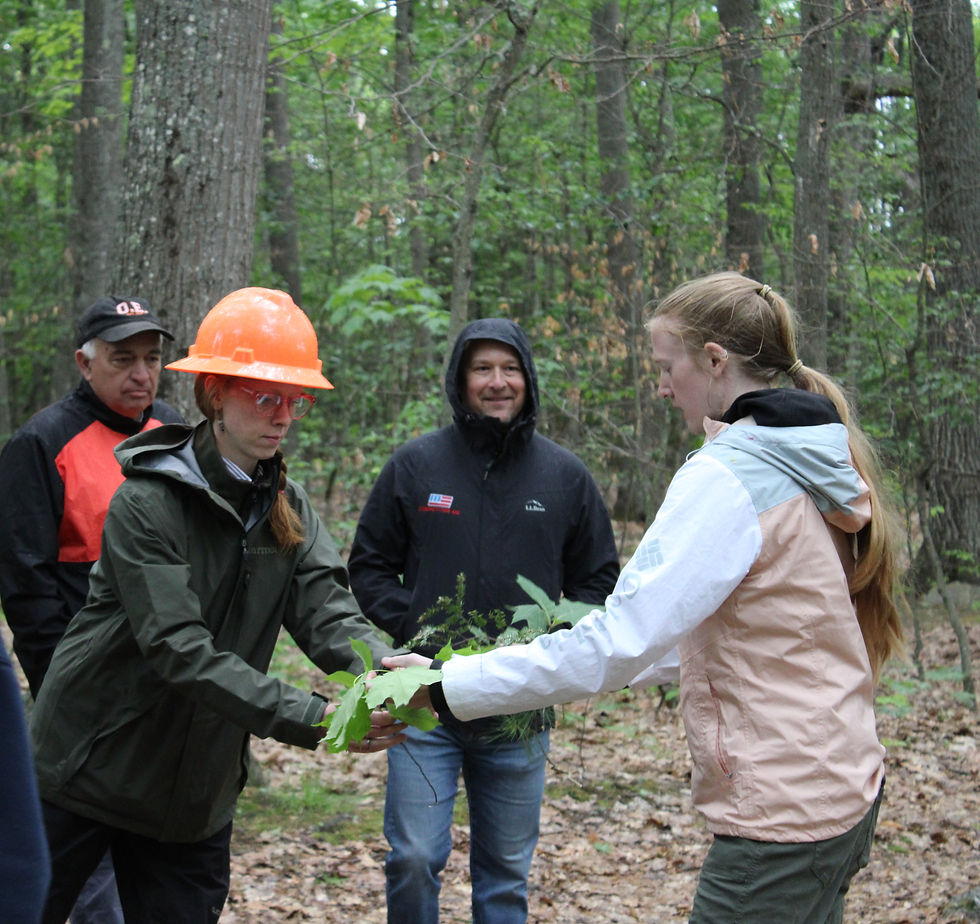 Forest Technician Curriculum Summit Brings Educators and Industry Together at Brewer High School