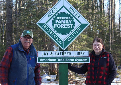 AD_4nXffDkSt7s_z3m3-aFG0ss_tlkVksXFVBubYUwuZq5CD5T7cZXWAbsfJSCu-hqyoO4nfZG3PyvxTQkDAHF7fIn