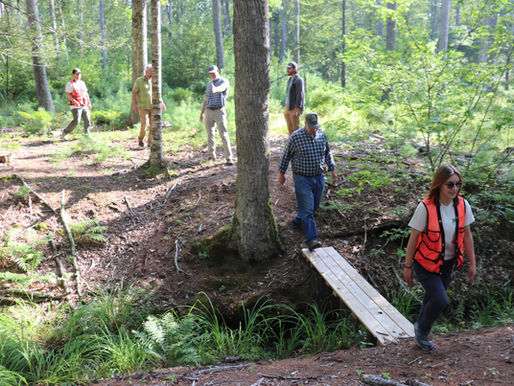 Holt Research Forest Celebrates Productive Field Season