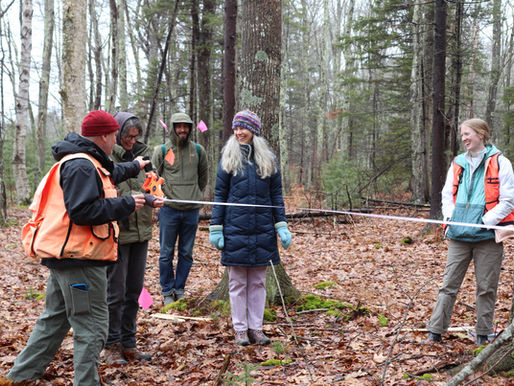 Deepening our Roots, Growing our Impact