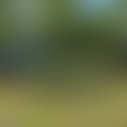 The Forests of Maine Teachers’ Tours are Back In-Person!